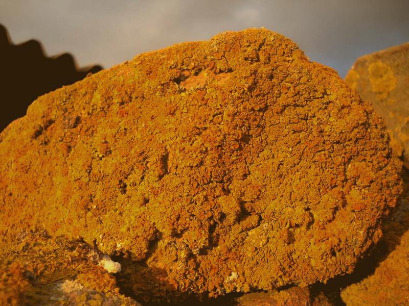 ...su muretto a secco...